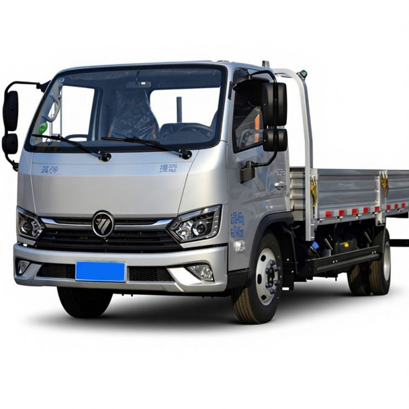 Camions de fret diesel populaires FOTON 4*2 de haute qualité